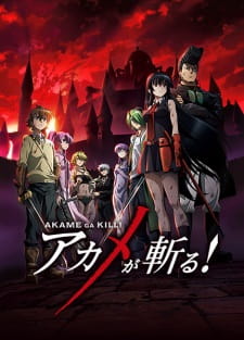 Ver Akame ga Kill!