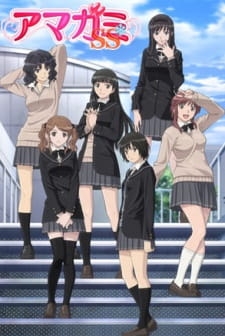 Ver Amagami SS