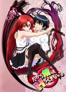 Ver Dakara Boku wa, H ga Dekinai.