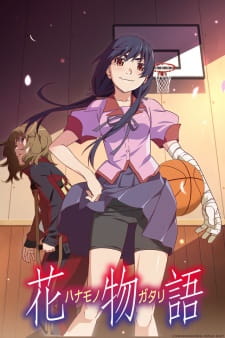 Ver Hanamonogatari