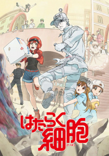 Hataraku Saibou!!
