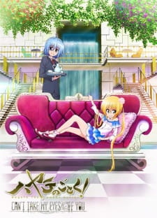 Ver Hayate no Gotoku! Can't Take My Eyes Off You