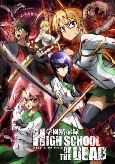 Ver Highschool of the Dead