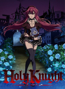 Ver Holy Knight