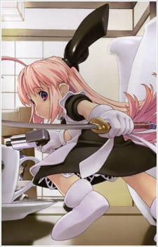 Ver Ichigeki Sacchuu!! Hoihoi-san