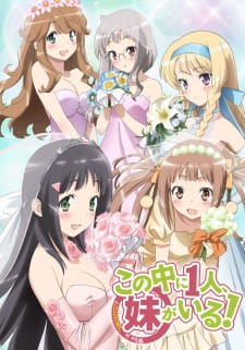 Ver Kono Naka ni Hitori, Imouto ga Iru!