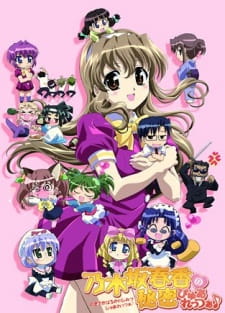 Ver Nogizaka Haruka no Himitsu Purezza ♪