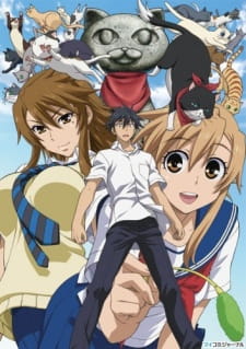 Ver Nyan Koi!