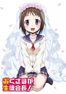 Ver Okusama ga Seitokaichou!+!