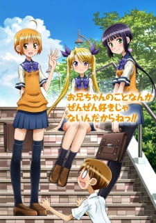 Ver Oniichan no Koto nanka Zenzen Suki ja Nai n da kara ne!!