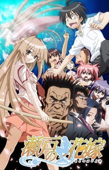Ver Seto no Hanayome