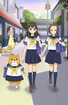 Ver Shiba Inuko-san