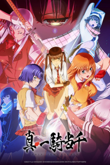 Ver Shin Ikkitousen