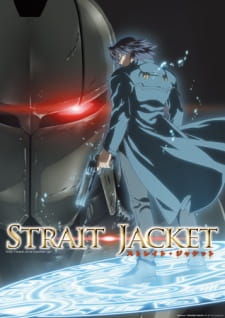 Ver Strait Jacket