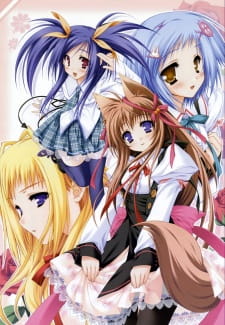 Ver Tayutama: Kiss on My Deity
