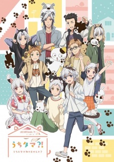 Ver Uchi Tama?! Uchi no Tama Shirimasen ka?